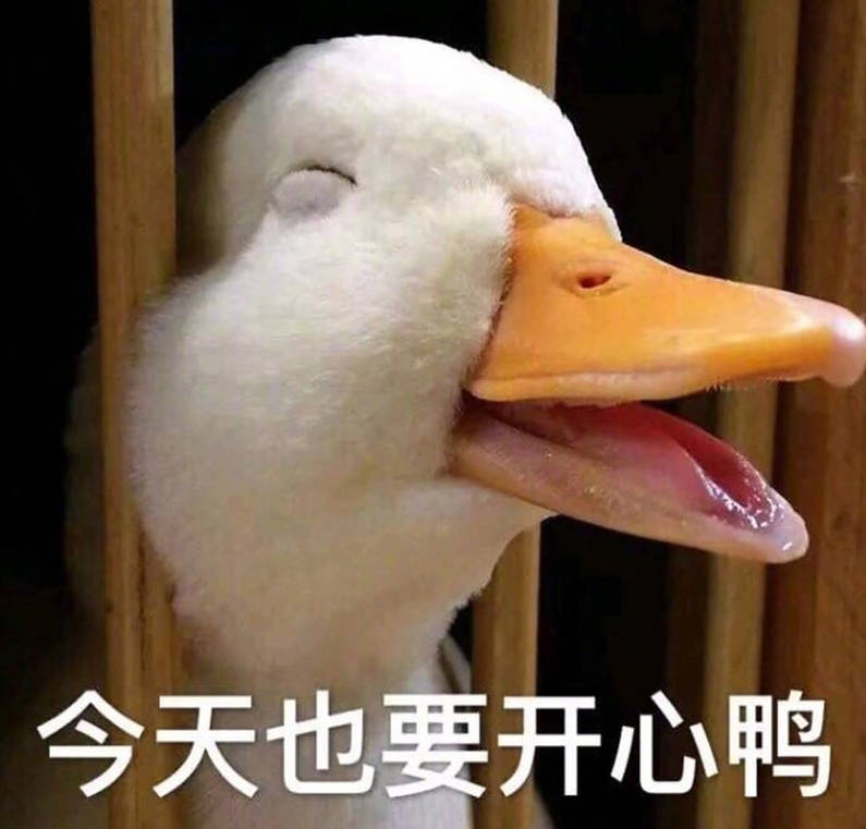 A股五张图：科技人久违的快乐周末来了