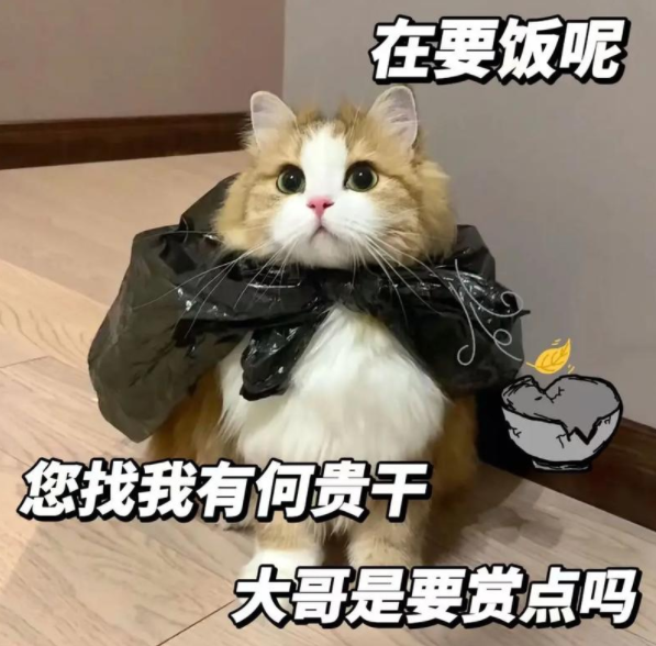 A股五张图：随份子