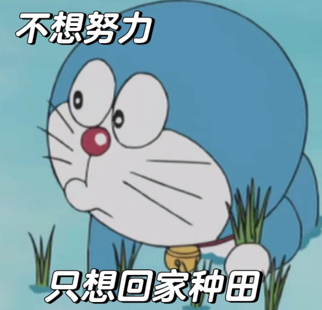 A股五张图：不要站在光里，你要站在田里！