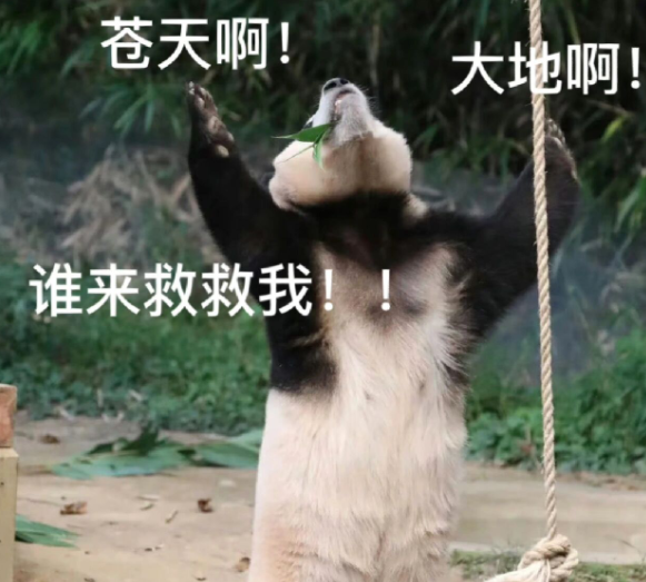 A股五张图：“两市唯一”，开启自救