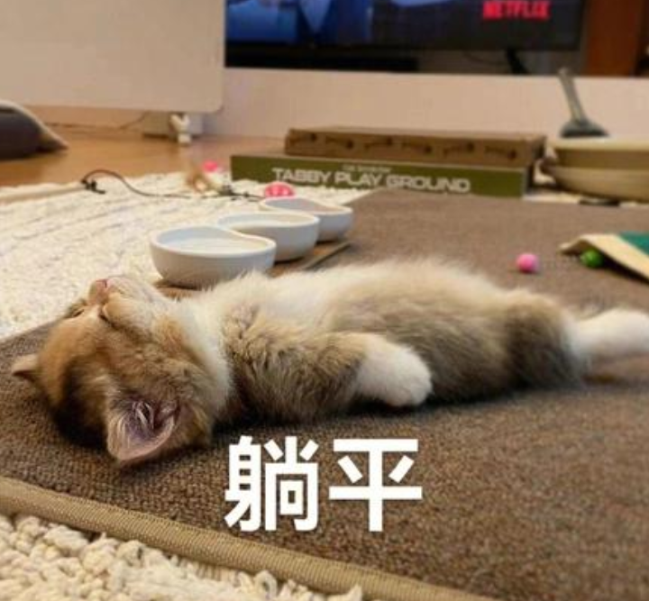 A股五张图：全都躺平了……