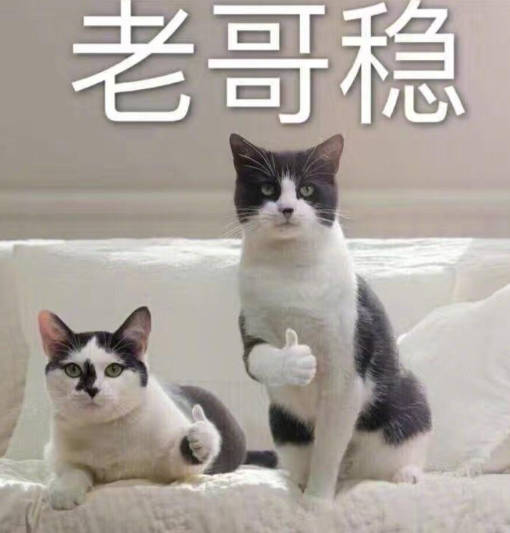 A股五张图：顶级映射