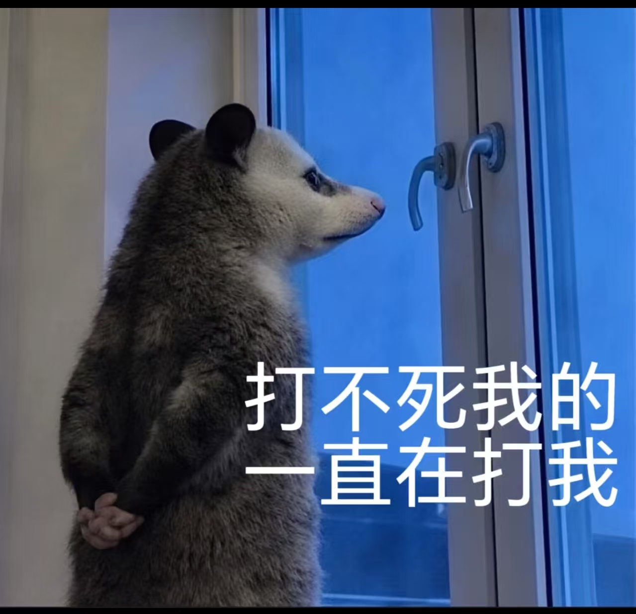 A股五张图：四千绿毛，准时报道