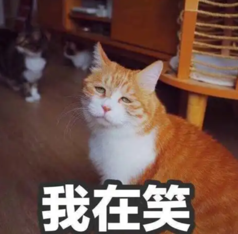 A股五张图：老登股看到它都得释怀