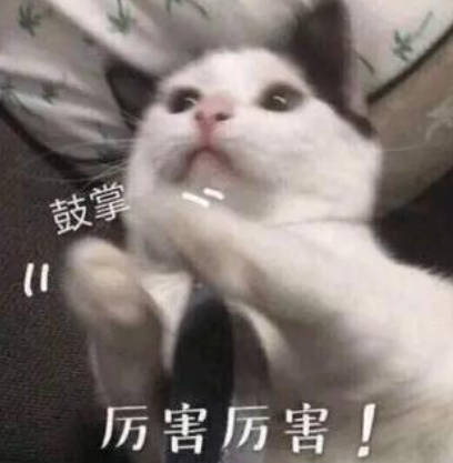 A股五张图：今年暑期档有点强啊？