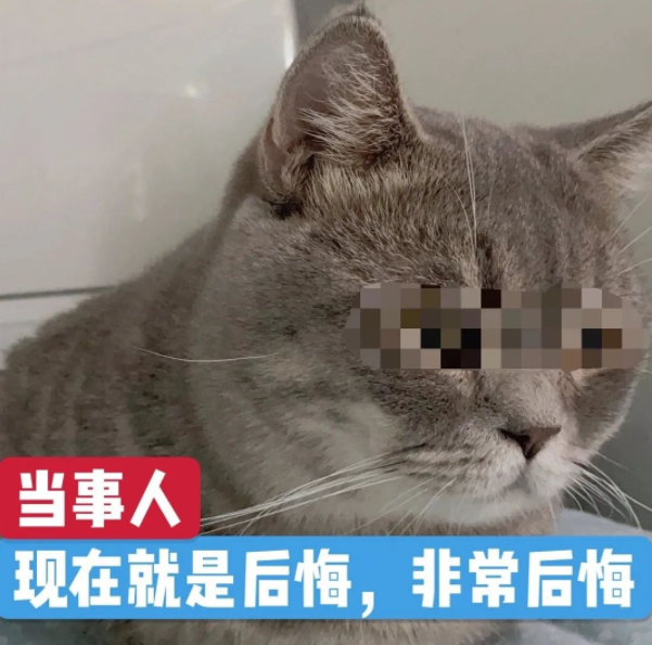 A股五张图：如果那天午后没去蹭热点……