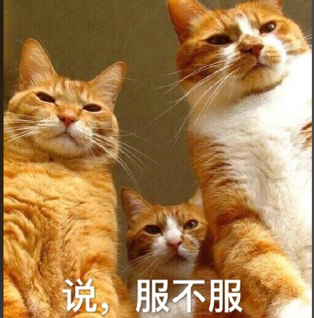 A股五张图：这次好像是真的都服了……